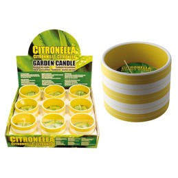 CITRONELLA IN COCCIO RIGHE...