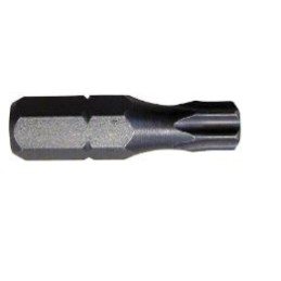 FERMEC INSERTO TORX 30